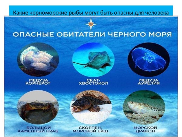Обитатели чарнага Мара