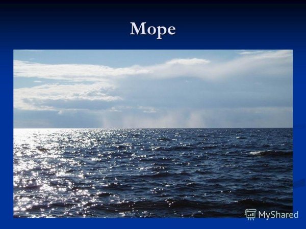 Море окружающий мир