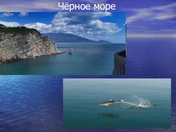 Море окружающий мир