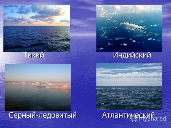 Моря Атлантического океана