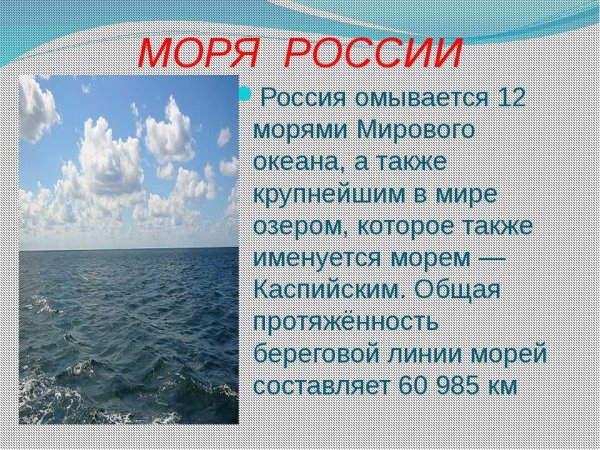 Сведения о морях России