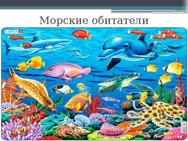 Северные моря омывающие Россию на карте