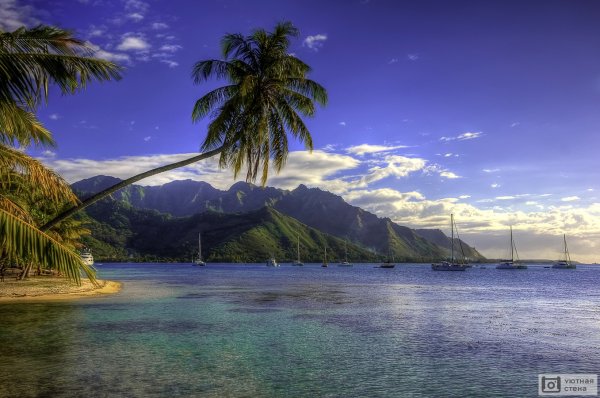 Муреа, французская Полинезия порт