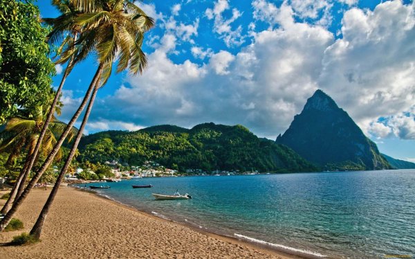 Пляж море океан пальмы горы