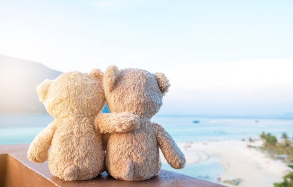 Мишка на море