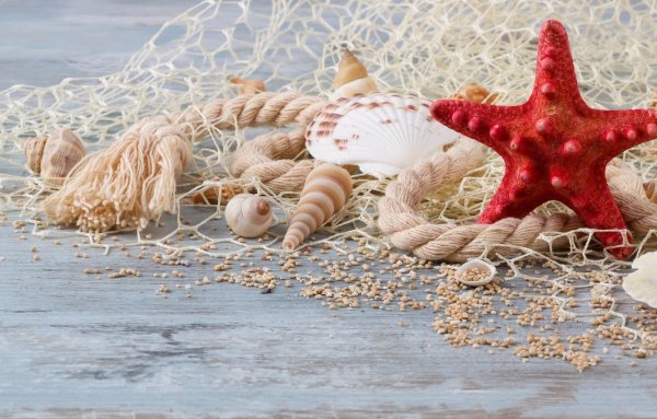 Дети на море