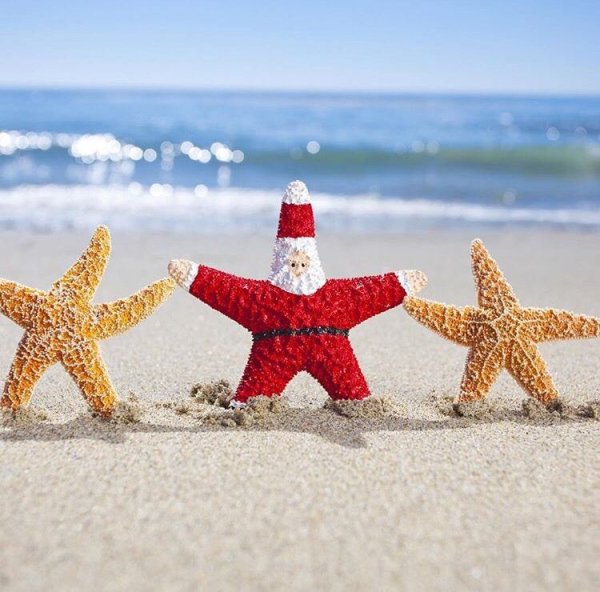 Морское дно рисунок