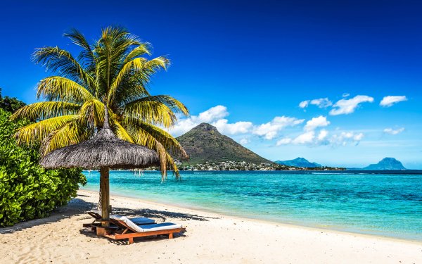 Красивый пляж с пальмами