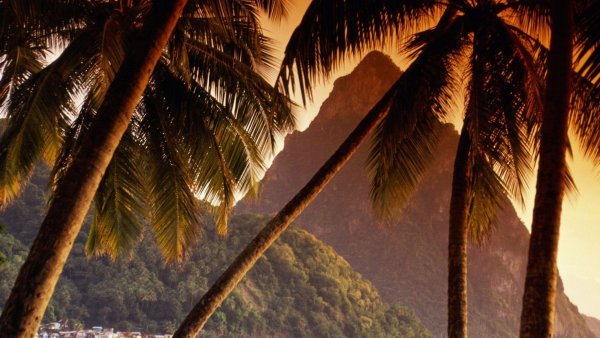 Пляж с пальмами