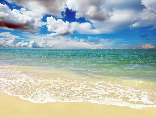 Ракушки на берегу моря