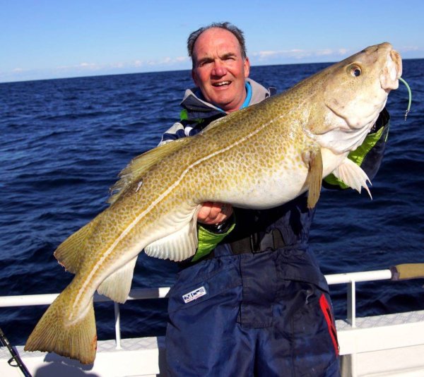 Треска рыба