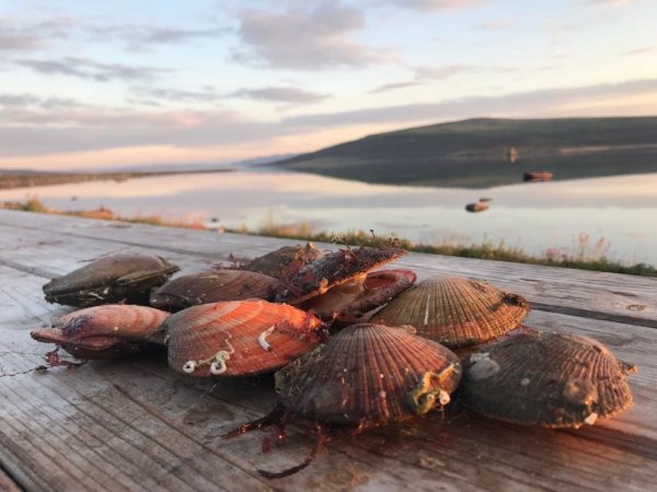 Териберка рыбалка