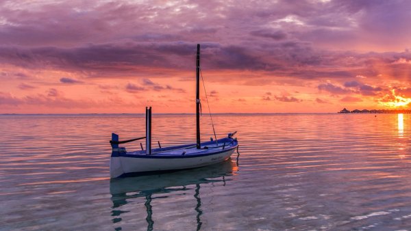 Лодка на пляже и пальмы