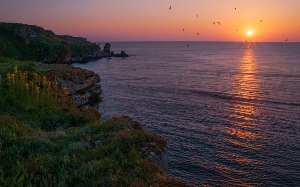 Побережье черного черного моря