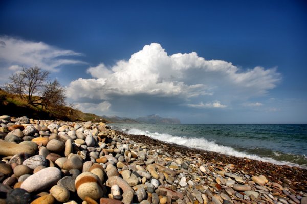 Берег черного моря