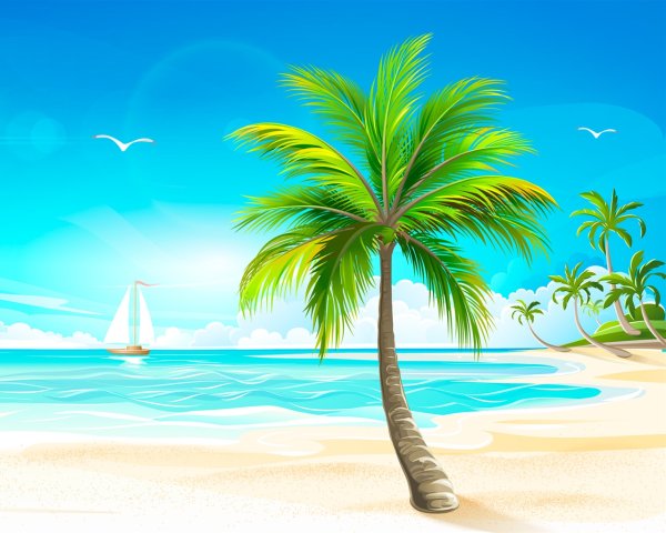 Пляж попугаи пальмы