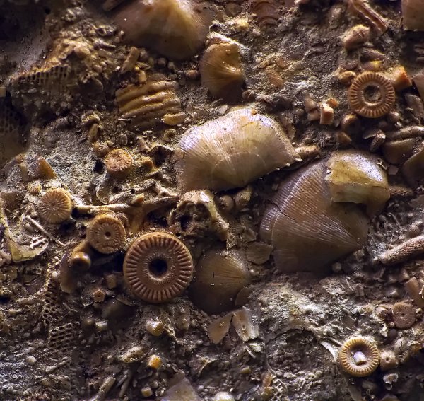 Украшения найденные на пляже