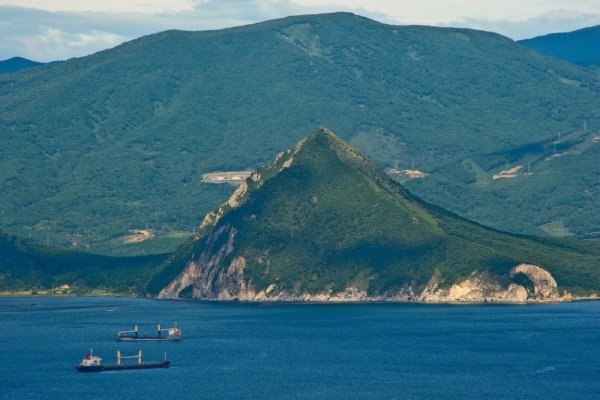 Морские лилии окаменелости