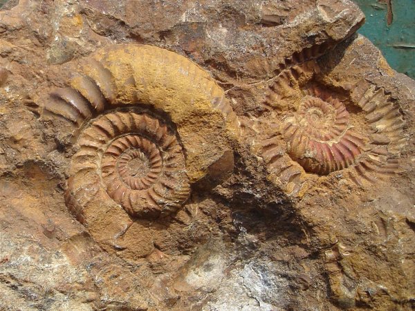 Море в Находке Приморского края