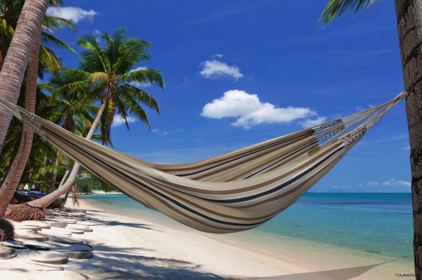 Гамак между пальмами
