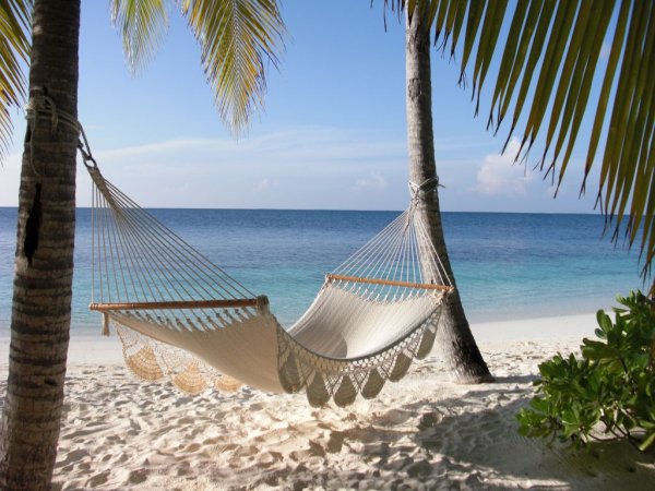 Гамак на Пальме