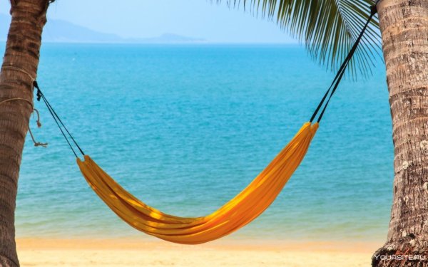 Гамак между пальмами