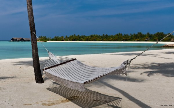 Мальдивы гамак