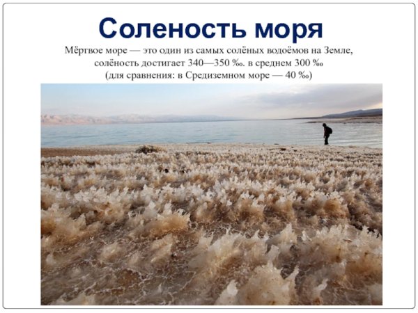 Мёртвое море солёность воды