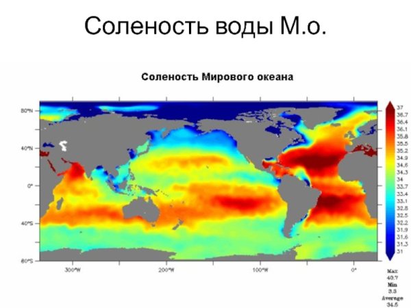 Соленость морей мирового океана