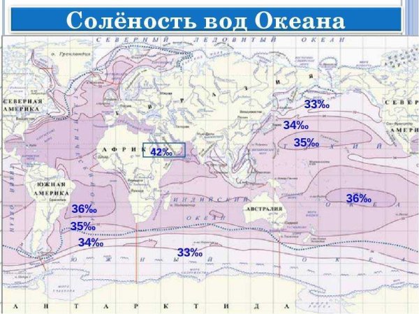 Соленость вод мирового океана