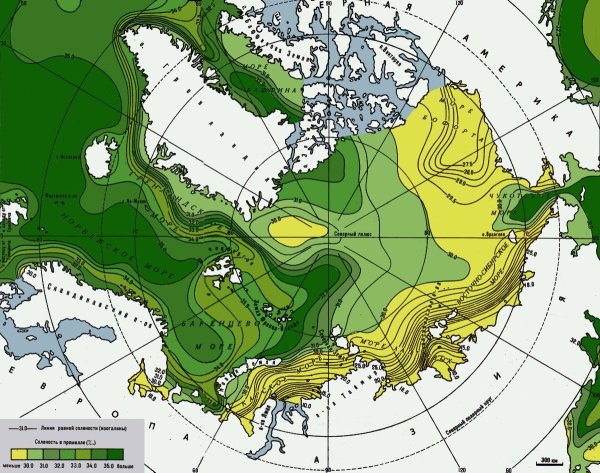 Соленость Северного Ледовитого океана