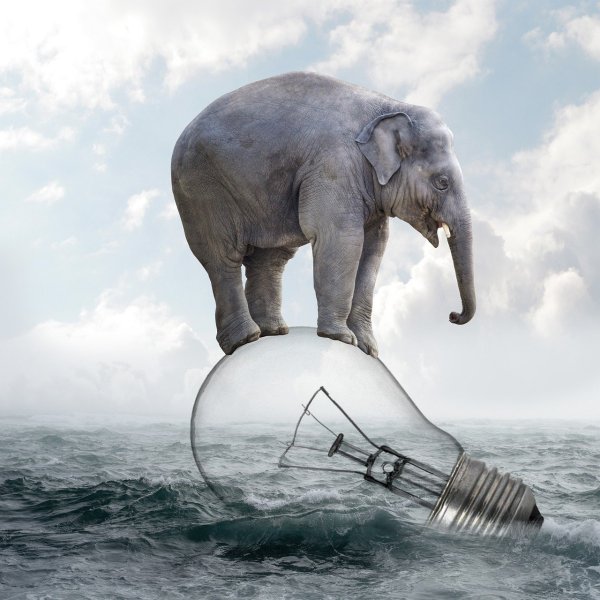 Слон на шаре