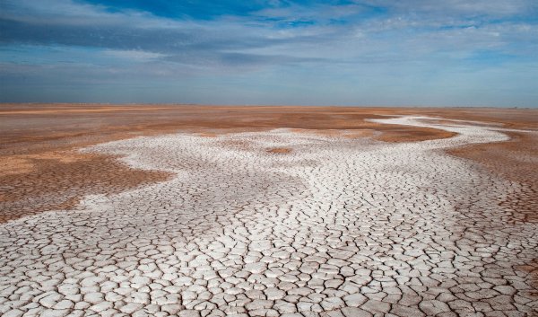 Дельта реки Амударья