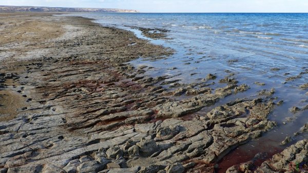 Осушенное Аральское море