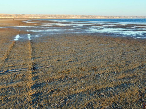 Аральское море озеро