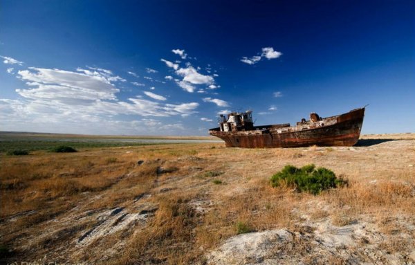 Аральское море 1950