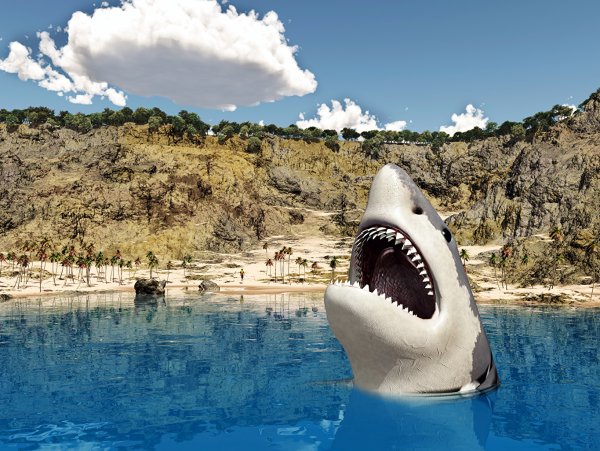 Подводный мир океана акулы