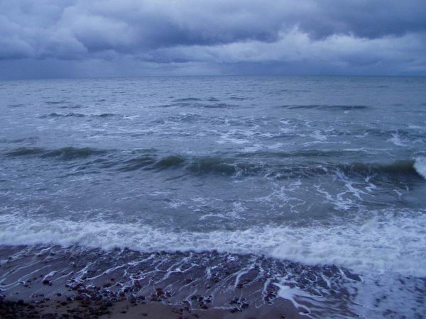 Дождливое море