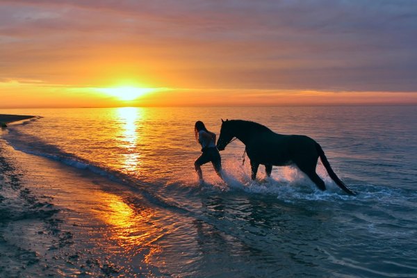 Лошадь бежит по морю