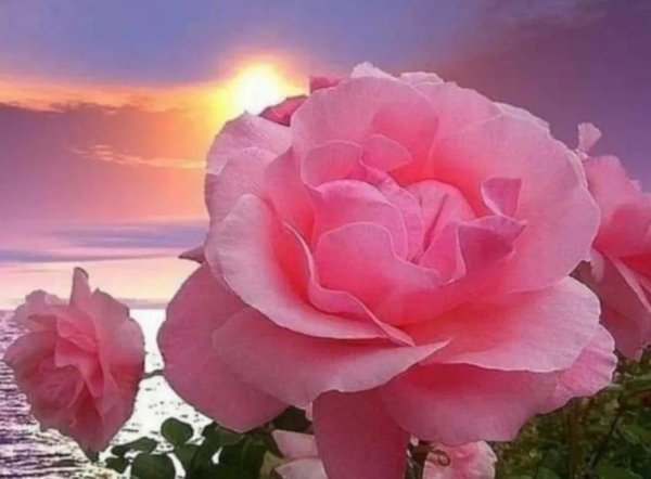 Пожелания хорошего отдыха