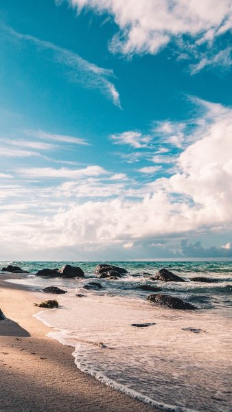 Волны пальмы