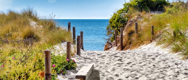 Тропинка к морю