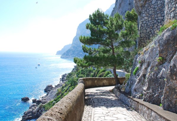 Тропинка с видом на море