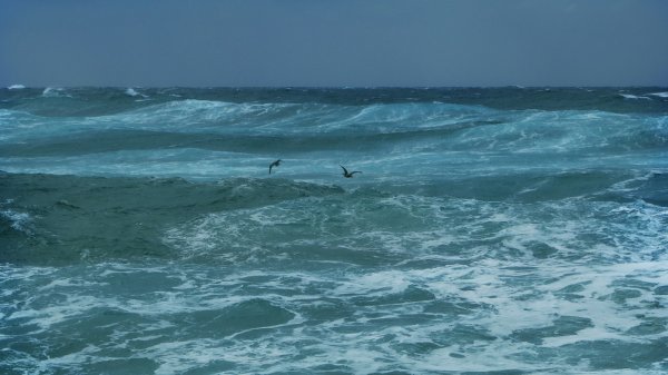 Море волнуется