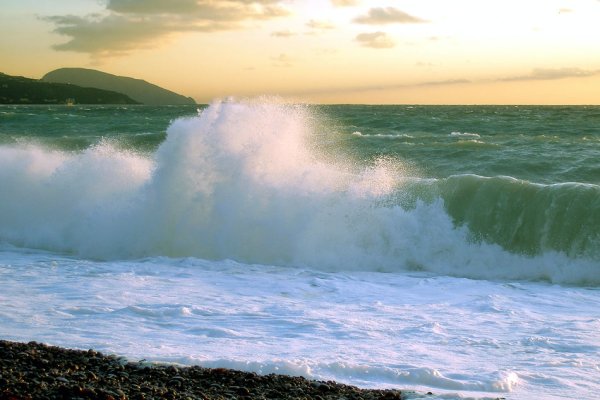 Морской Прибой Крис Крым