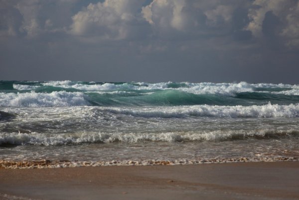 Волнующая моря