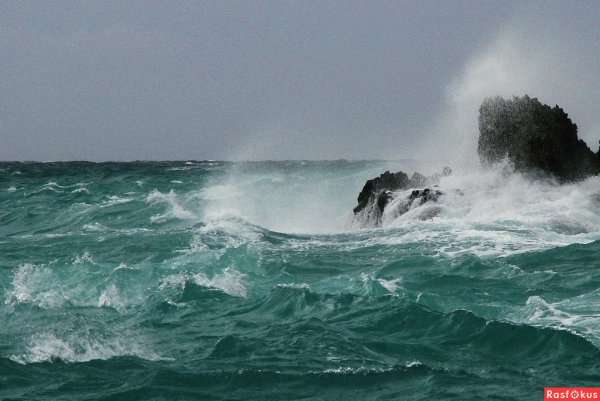 Волны Горизонт черное море