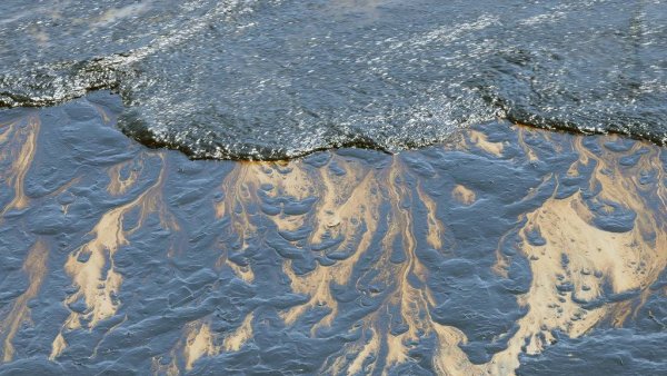 Нефтяное пятно