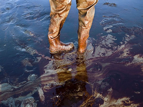 Экологическая катастрофа BP