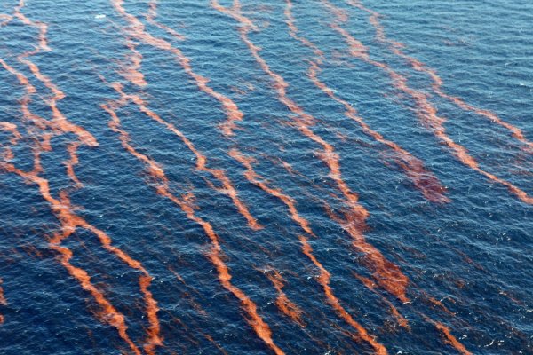 Мексиканский залив